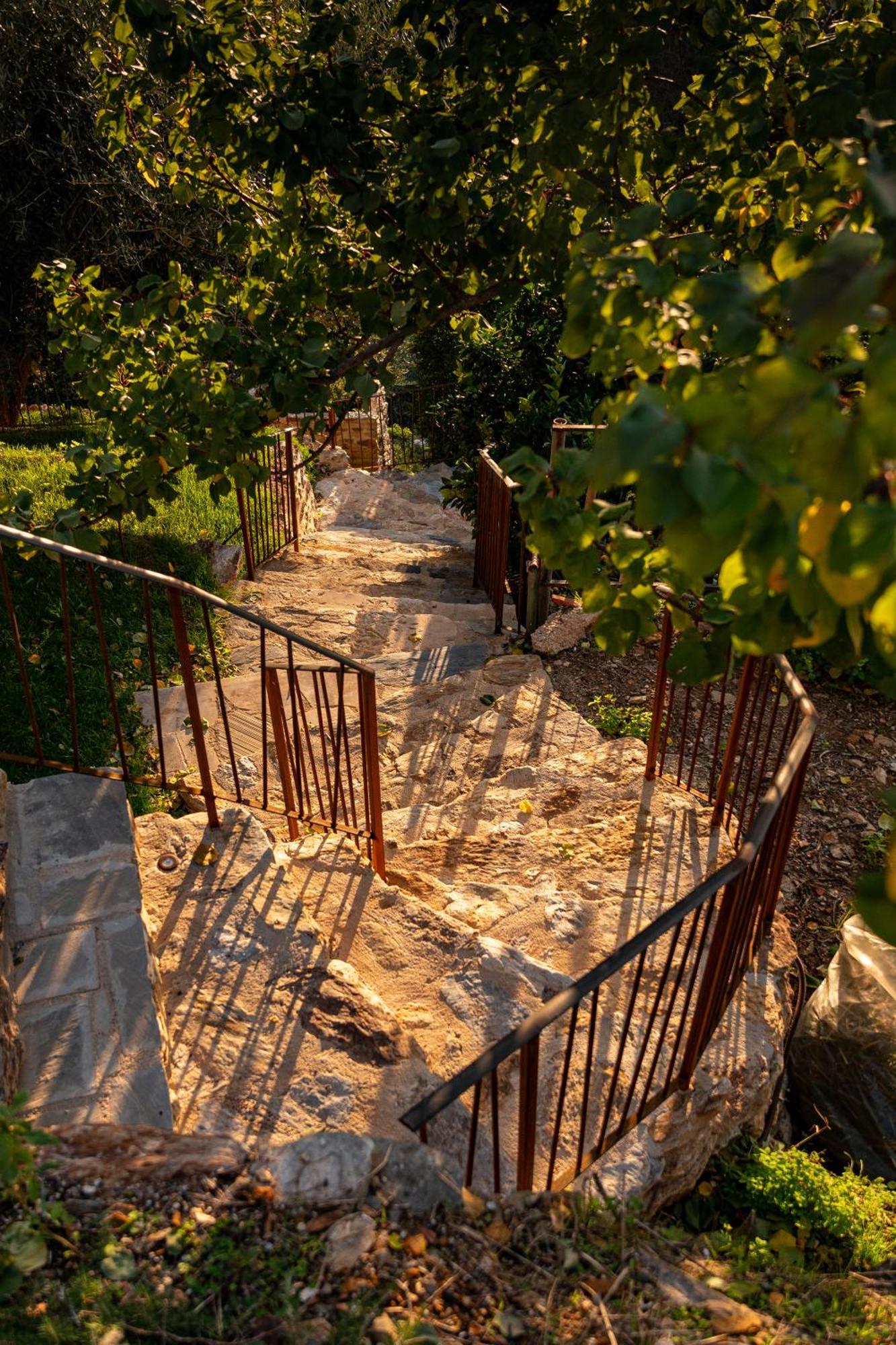 Tenuta Zamparina Montignoso Exterior photo